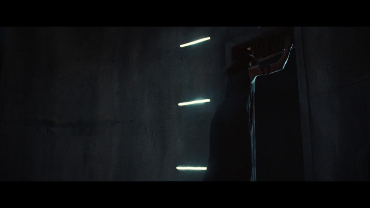 [毗湿奴降临][BD-MKV/35.77GB][简繁英字幕][1080P][HDR版本][蓝光压制]