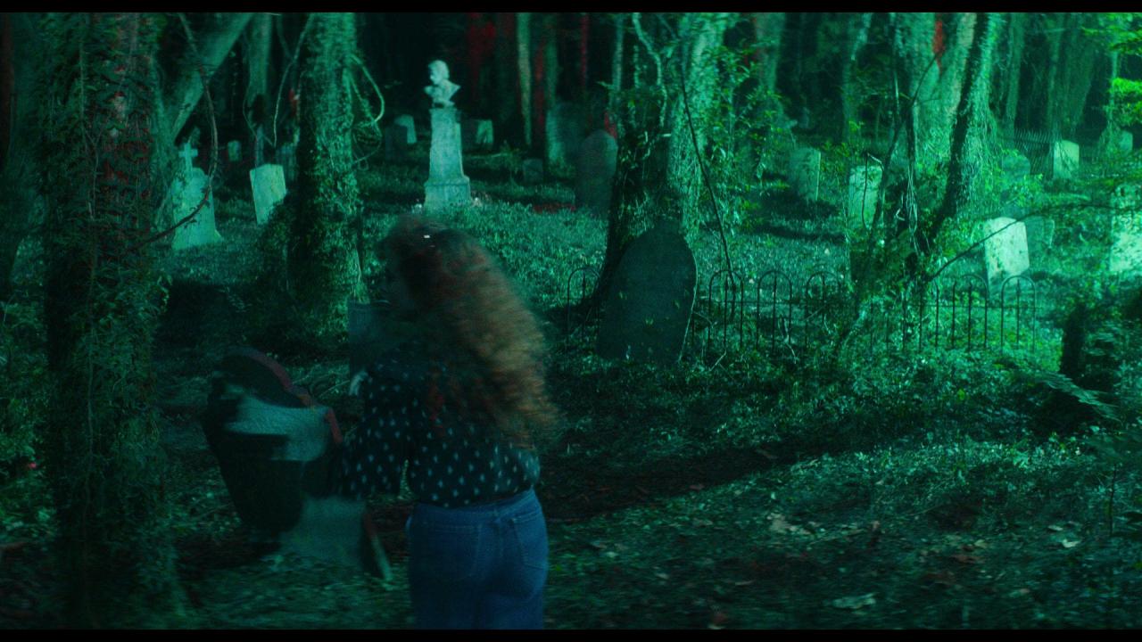 [丽莎·弗兰肯斯坦][BD-MKV/27.29GB][简繁英字幕][1080P][HDR版本][蓝光压制]