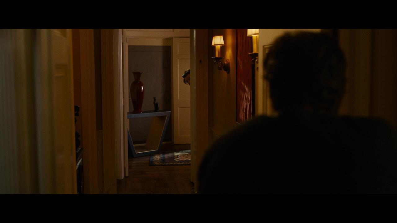 [红右手][BD-MKV/28.50GB][简繁英字幕][1080P][HDR版本][蓝光压制]