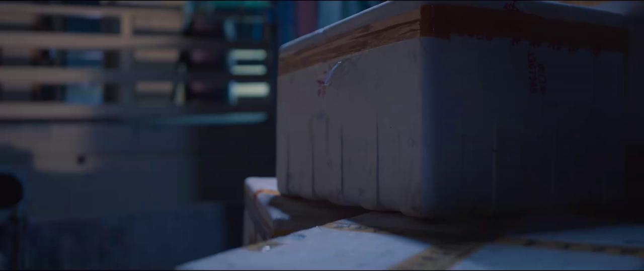 [金刚不坏][WEB-MKV/0.50GB][国语配音/中文字幕][1080P][HDR版本][流媒体]