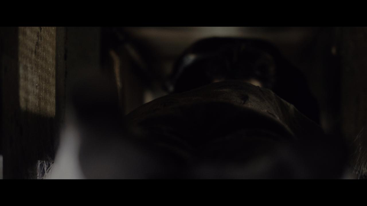 [幻影凶间][BD-MKV/68.28GB][简繁英字幕][4K-2160P][HDR+杜比视界双版本][H265编码][蓝光压制]