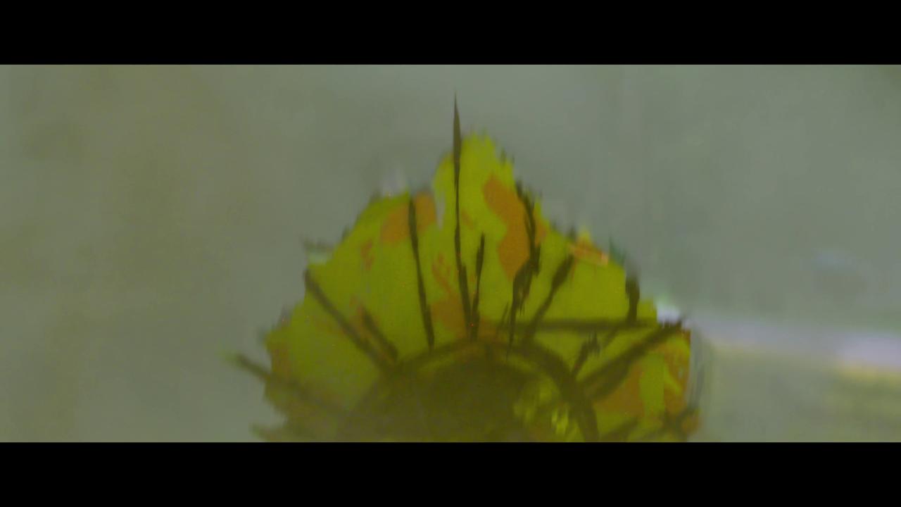 [素描总动员][WEB-MKV/12.17GB][中文字幕][4K-2160P][30帧率][HDR版本][流媒体]