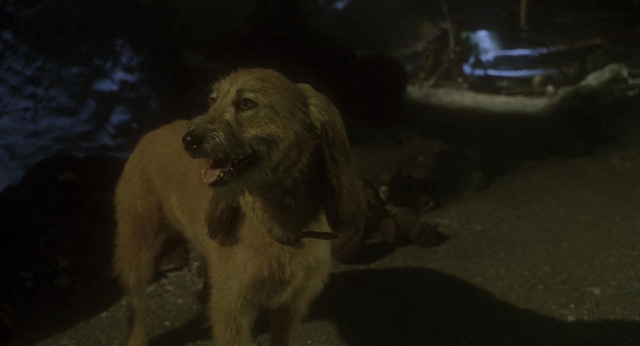 [圣诞怪杰][BD-MKV/20.08GB][简繁英字幕][4K-2160P][HDR+杜比视界双版本][H265编码][蓝光压制]