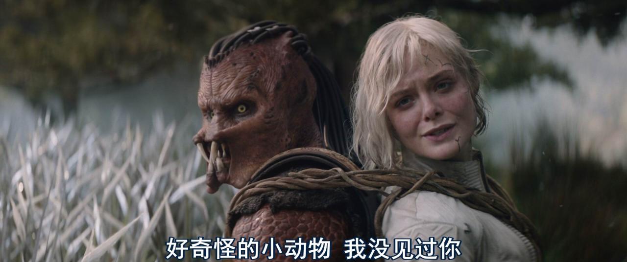 [铁血战士：杀戮之地][BD-MKV/6G][英语中字][1080p][2025最新]