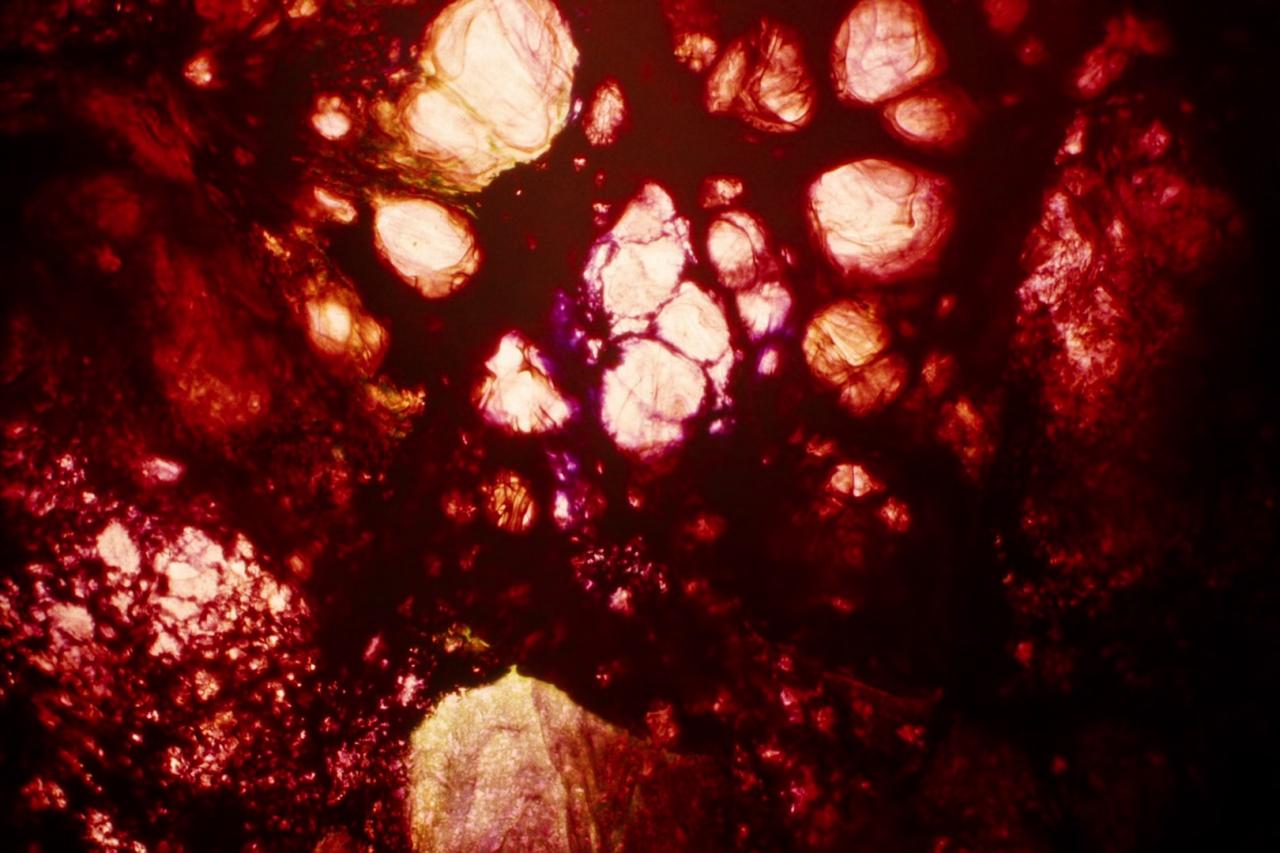 [拯救地球][BD-MKV/6.57GB][简繁英字幕][1080P][HDR版本][H265编码][蓝光压制]