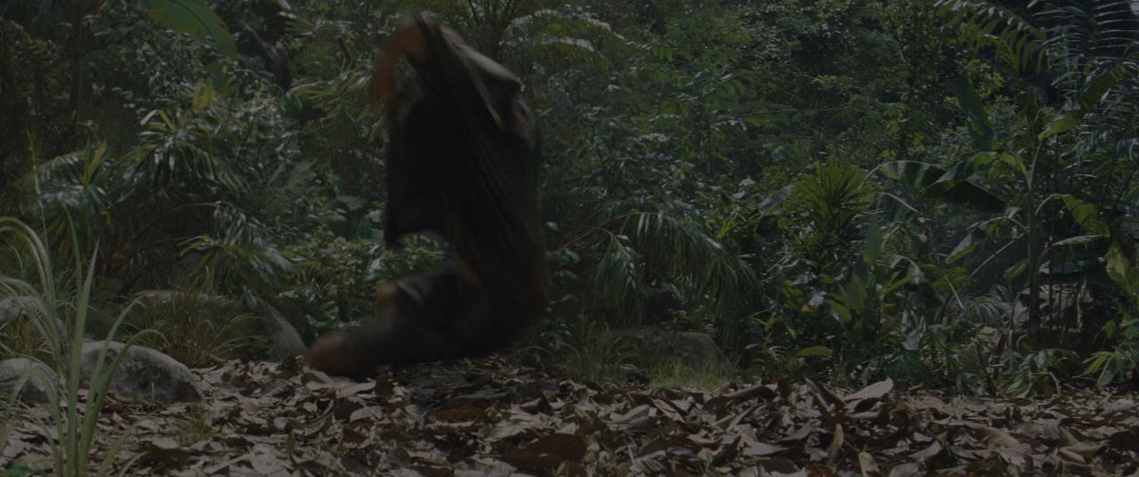 [侏罗纪世界：重生][BD-MKV/28.02GB][简繁英字幕][4K-2160P][HDR+杜比视界双版本][H265编码][蓝光压制]