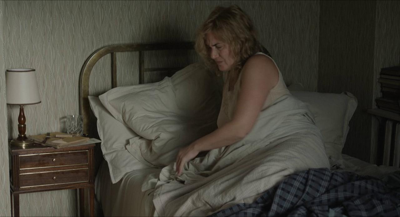 [李][BD-MKV/12.17GB][简繁英字幕][1080P][HDR版本][蓝光压制]