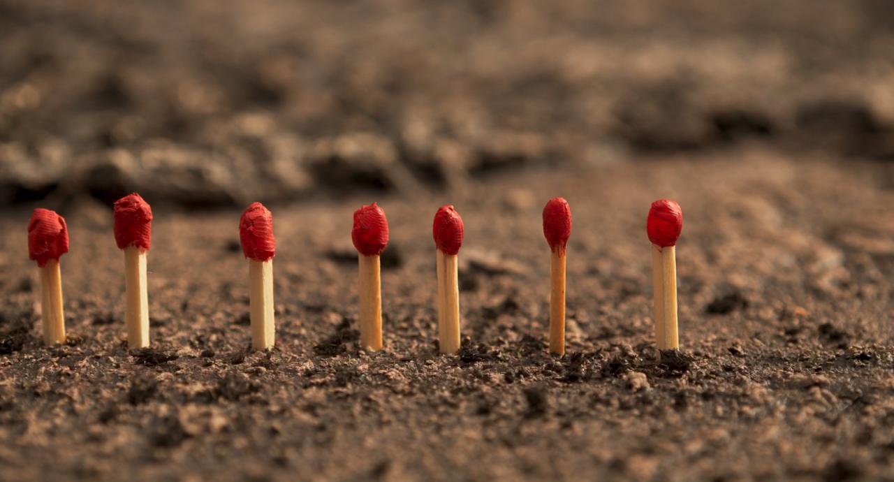 [蜗牛回忆录][BD-MKV/6.85GB][简繁英字幕][1080P][HDR版本][H265编码][蓝光压制]