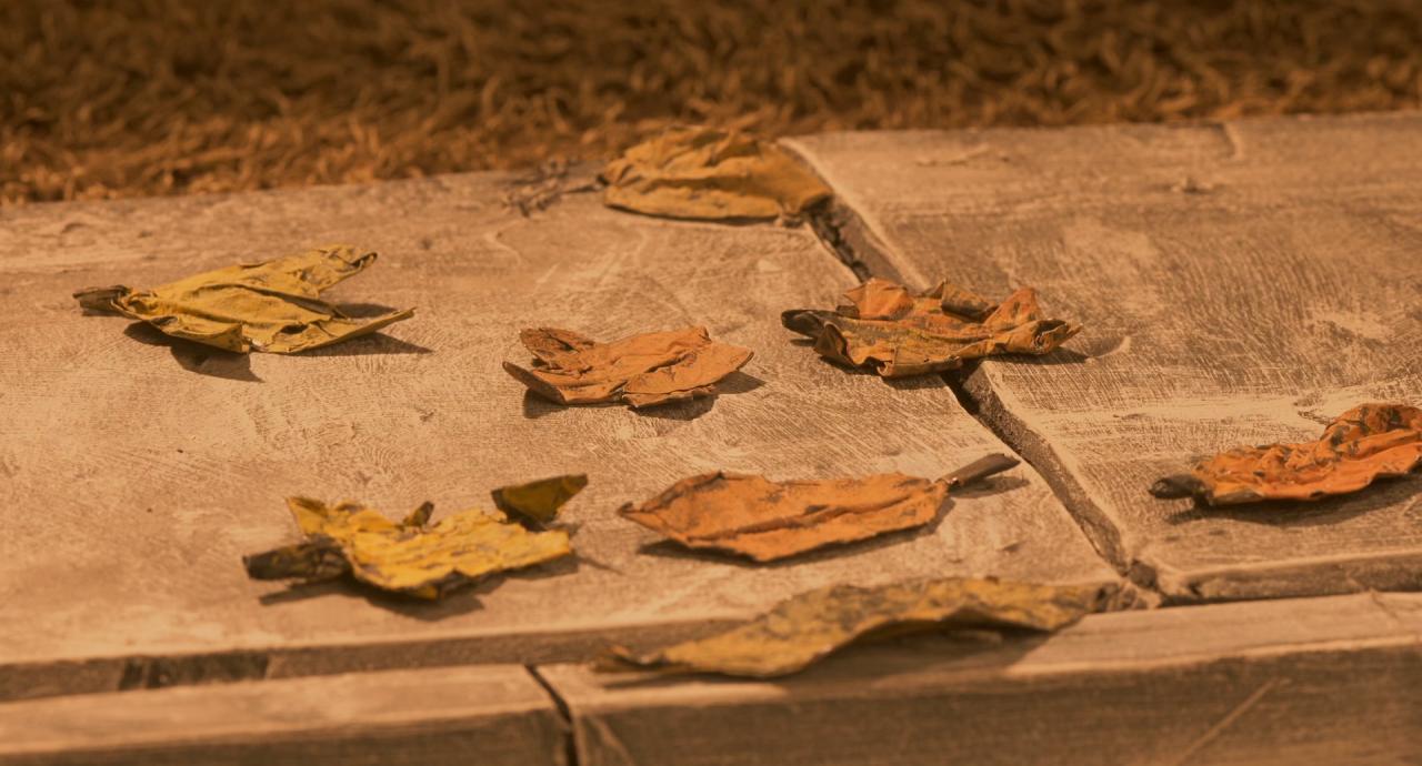 [蜗牛回忆录][BD-MKV/6.85GB][简繁英字幕][1080P][HDR版本][H265编码][蓝光压制]