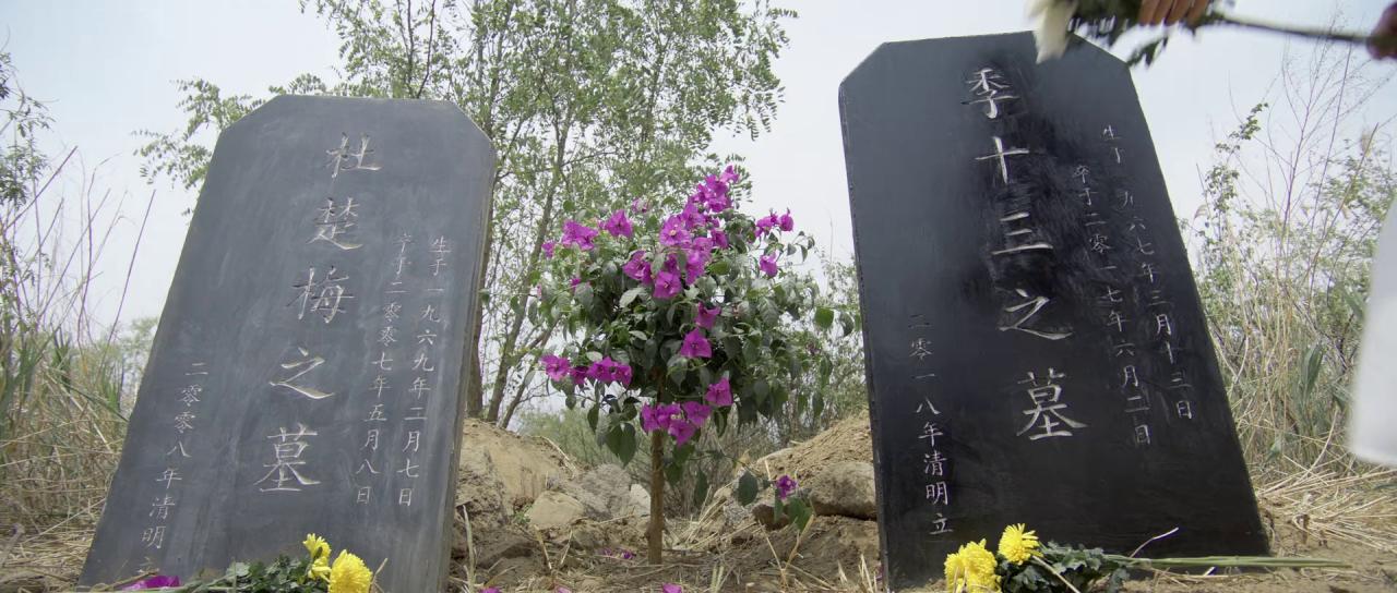 [青爱][WEB-MKV/1.50GB][国语配音/中文字幕][1080P][HDR版本][流媒体]