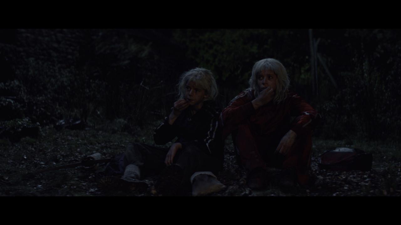 [惊变28年2：白骨圣殿][WEB-MKV/19.05GB][简繁英字幕][4K-2160P][HDR+杜比视界双版本][H265编码][流媒体]