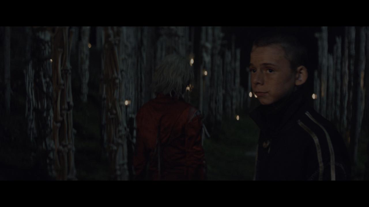 [惊变28年2：白骨圣殿][WEB-MKV/19.05GB][简繁英字幕][4K-2160P][HDR+杜比视界双版本][H265编码][流媒体]