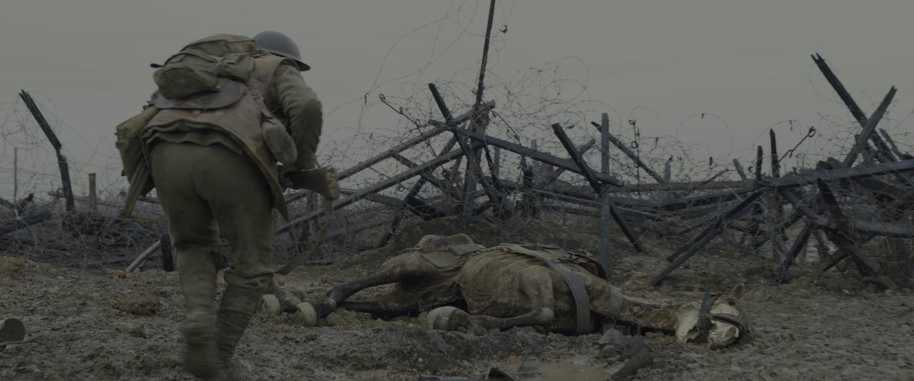 [1917][BD-MKV/16.10GB][简繁英双语特效字幕][4K-2160P][HDR版本][H265编码][蓝光压制]