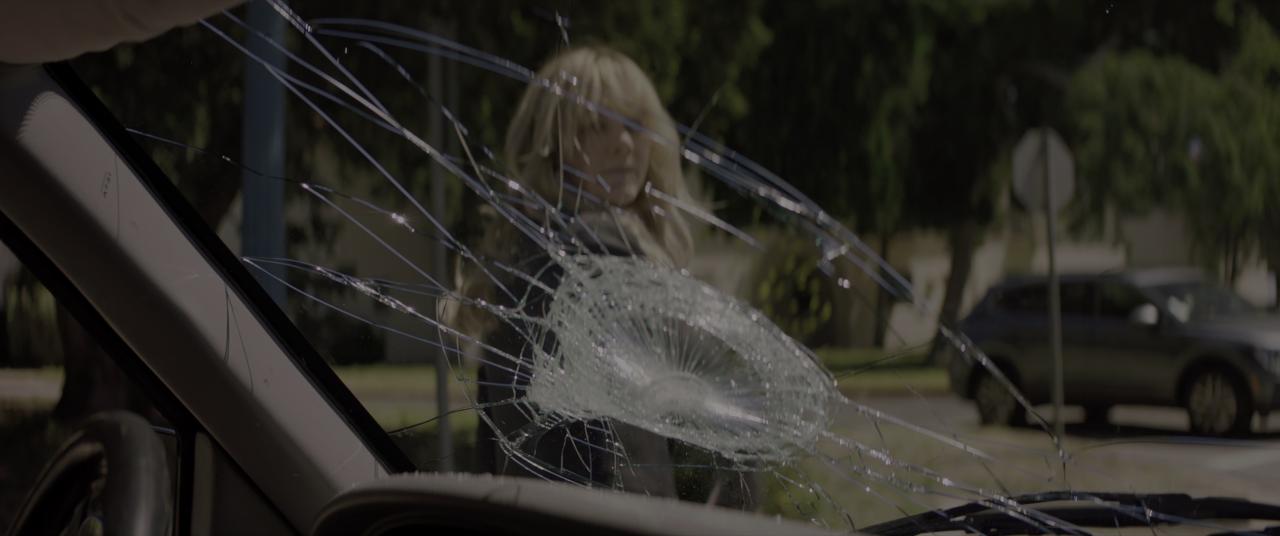 [前程似锦的女孩][BD-MKV/10.39GB][国英多音轨/简繁英字幕][4K-2160P][HDR版本][H265编码][蓝光压制]