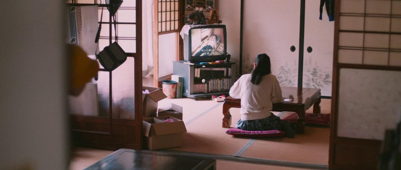 [我生活的两个世界][BD-MKV/11.01GB][简繁字幕][1080P][HDR版本][蓝光压制]