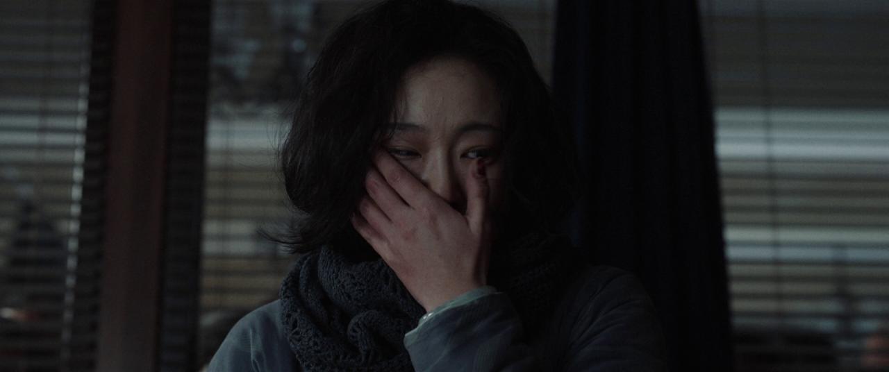 [南京照相馆][BD-MKV/16.12GB][国语音轨/简繁英字幕][1080P][HDR版本][蓝光压制]