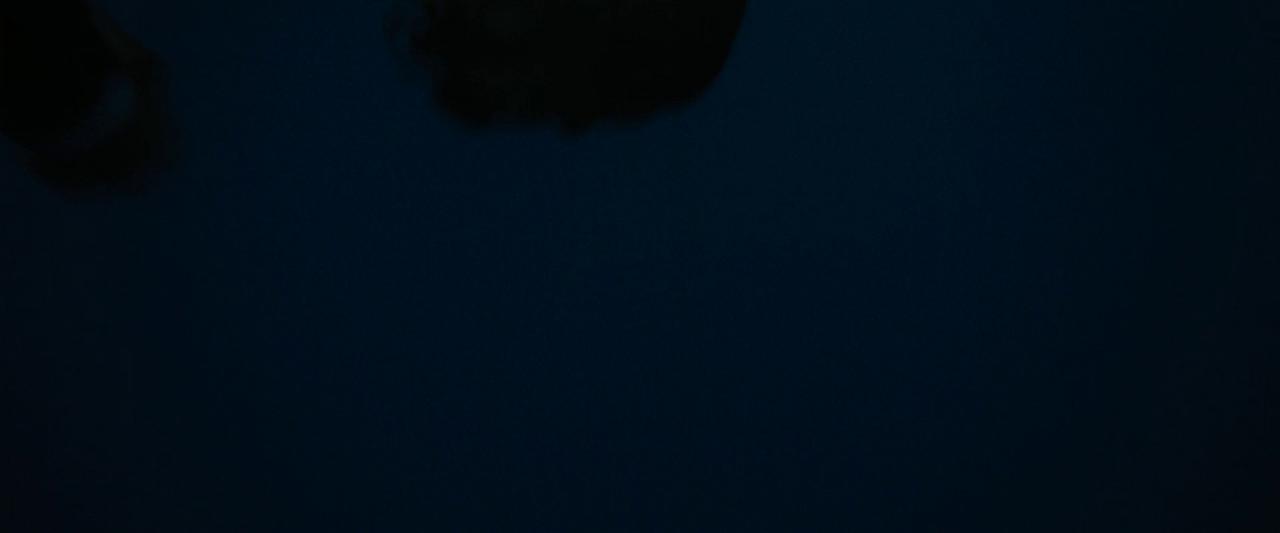 [绝密战境][WEB-MKV/9.01GB][简繁英字幕][1080P][HDR版本][流媒体]