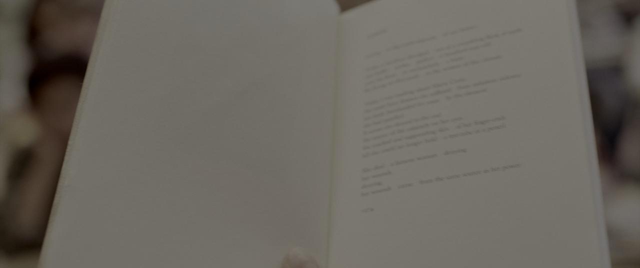 [涉足荒野][BD-MKV/24.38GB][简繁英字幕][4K-2160P][HDR版本][H265编码][蓝光压制]