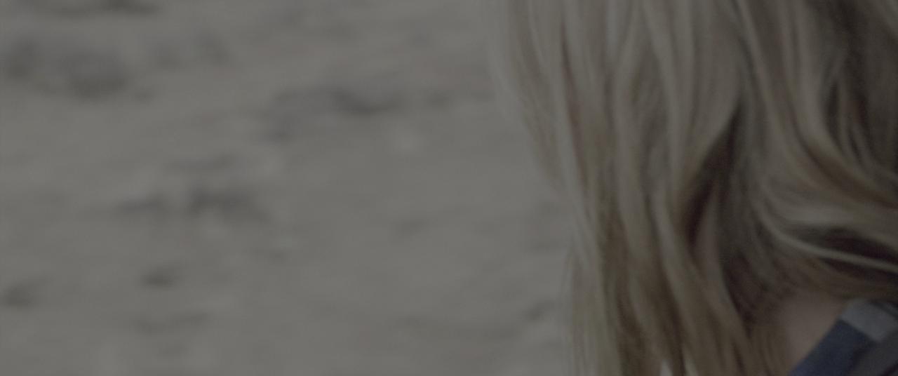 [涉足荒野][BD-MKV/24.38GB][简繁英字幕][4K-2160P][HDR版本][H265编码][蓝光压制]