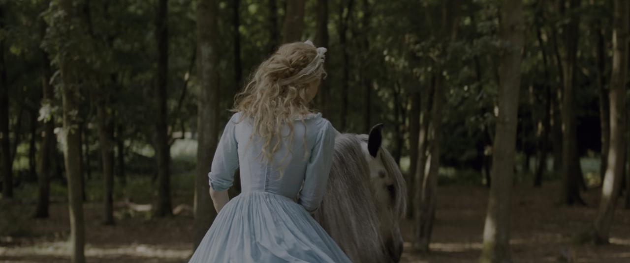 [灰姑娘][BD-MKV/27.15GB][国粤英多音轨/简繁英双语字幕][4K-2160P][HDR版本][H265编码][蓝光压制]