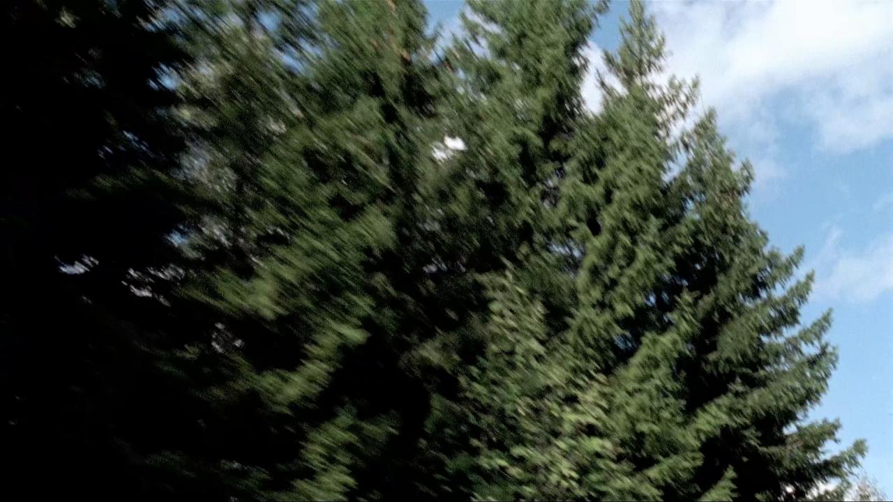 [玩火的女孩][共2部合集][BD-MKV/14.16GB][中英字幕][1080P][HDR版本][H265编码][蓝光压制]