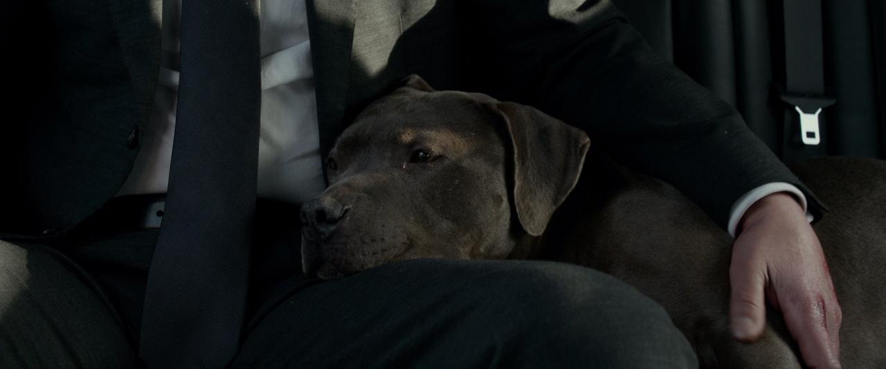 [疾速追杀2][BD-MKV/6.10GB][中英字幕][1080P][HDR版本][H265编码][蓝光压制]