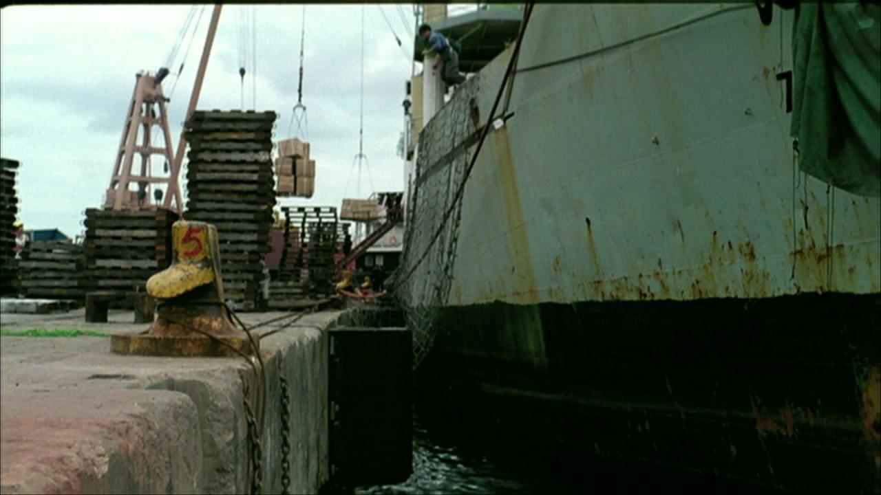 [皇家师姐4：直击证人][BD-MKV/4.29GB][国粤多音轨/繁英字幕][1080P][HDR版本][H265编码][蓝光压制]