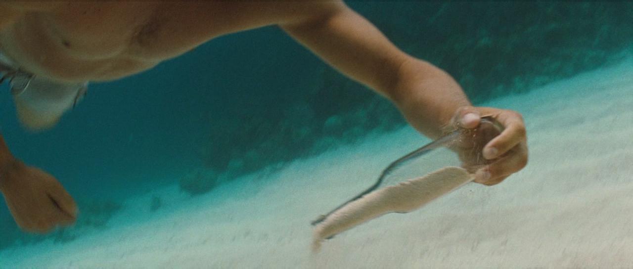 [碧海追踪][BD-MKV/7.84GB][简繁英字幕][1080P][HDR版本][H265编码][蓝光压制]