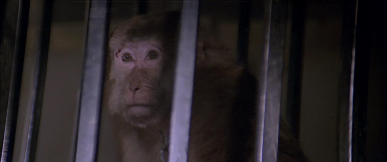 [金玉满堂][BD-MKV/5.77GB][国语音轨/中英字幕][1080P][HDR版本][H265编码][蓝光压制]