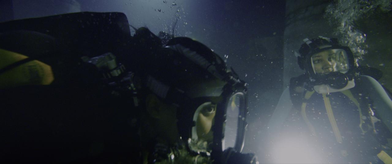 [鲨海逃生][BD-MKV/24.58GB][国英多音轨/简繁英双语字幕][4K-2160P][HDR版本][H265编码][蓝光压制]