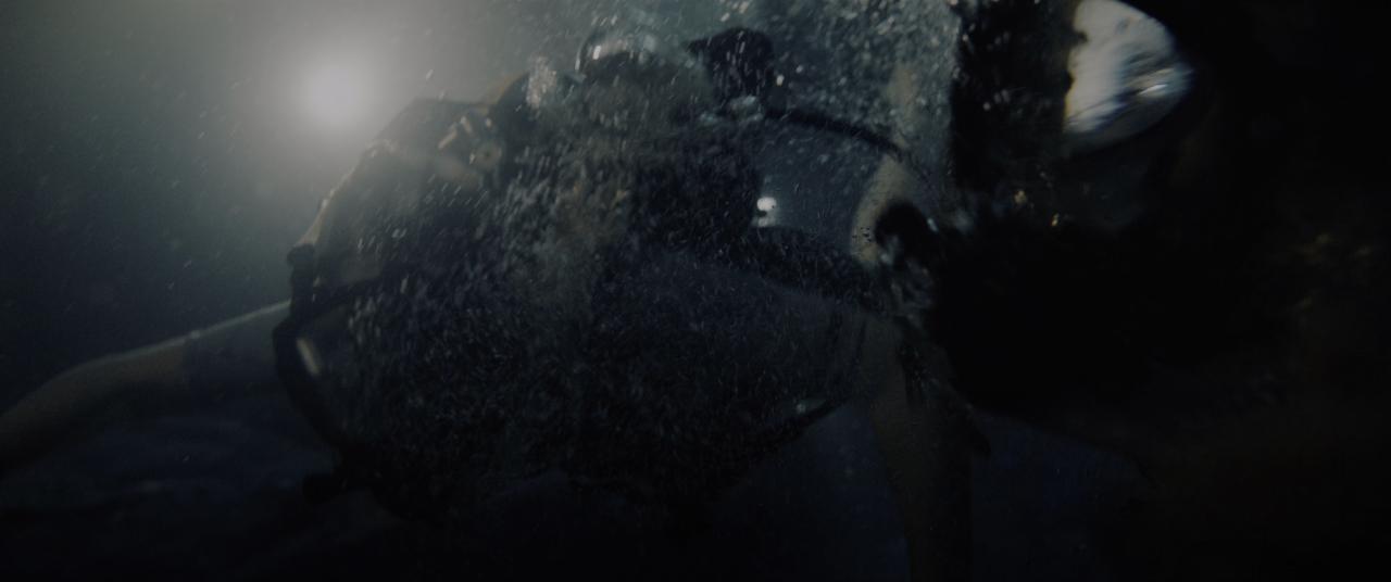 [鲨海逃生][BD-MKV/24.58GB][国英多音轨/简繁英双语字幕][4K-2160P][HDR版本][H265编码][蓝光压制]