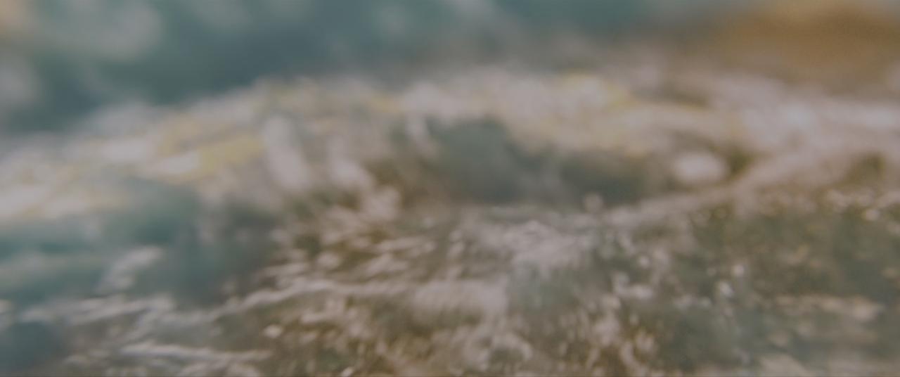 [鲨海逃生][BD-MKV/24.58GB][国英多音轨/简繁英双语字幕][4K-2160P][HDR版本][H265编码][蓝光压制]