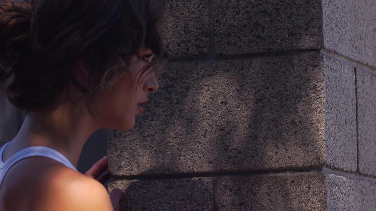 [愉悦与苦痛][BD-MKV/6.29GB][简繁字幕][1080P][HDR版本][H265编码][蓝光压制]