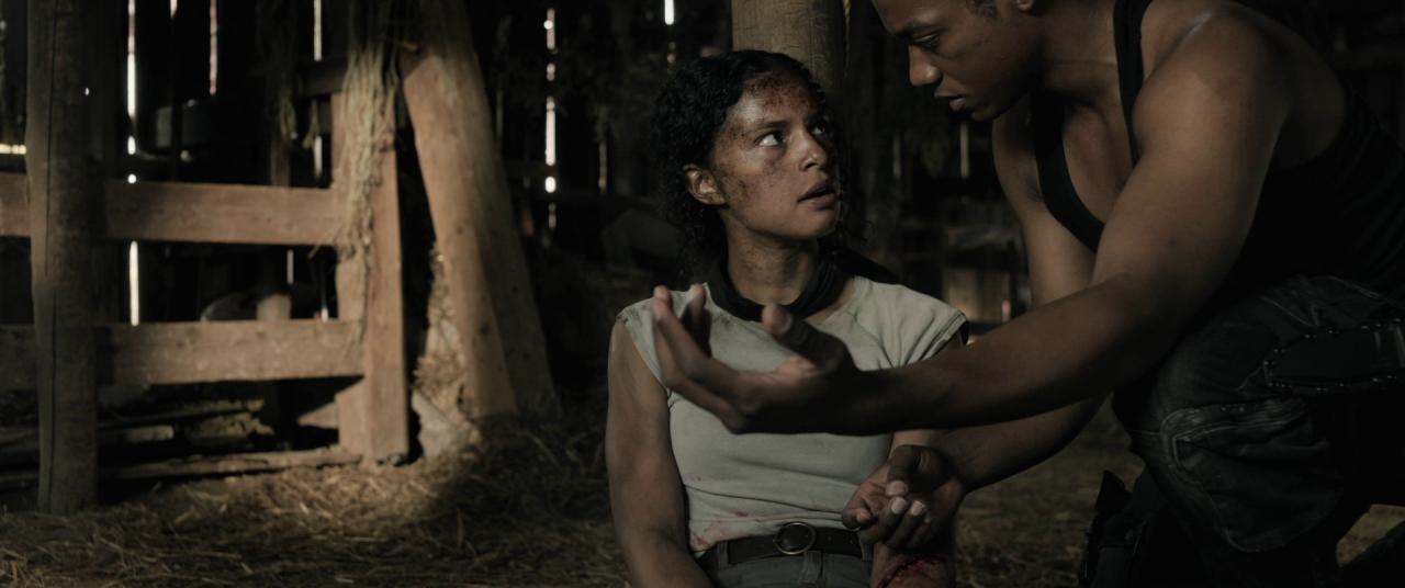 [40英亩][BD-MKV/10.88GB][简繁英字幕][1080P][HDR版本][蓝光压制]