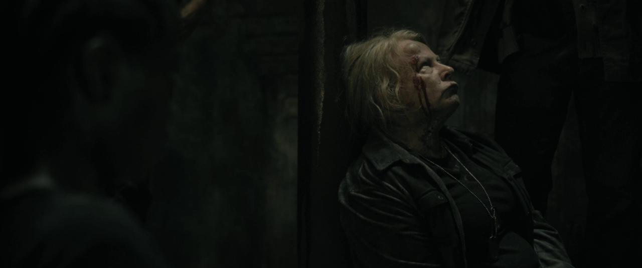 [40英亩][BD-MKV/10.88GB][简繁英字幕][1080P][HDR版本][蓝光压制]