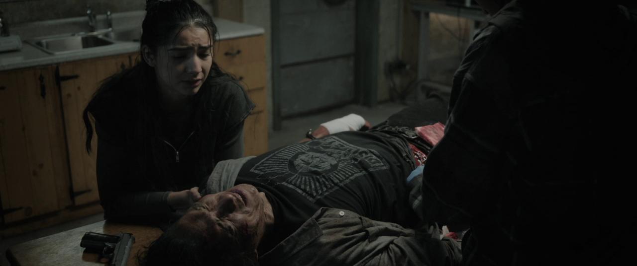 [40英亩][BD-MKV/10.88GB][简繁英字幕][1080P][HDR版本][蓝光压制]