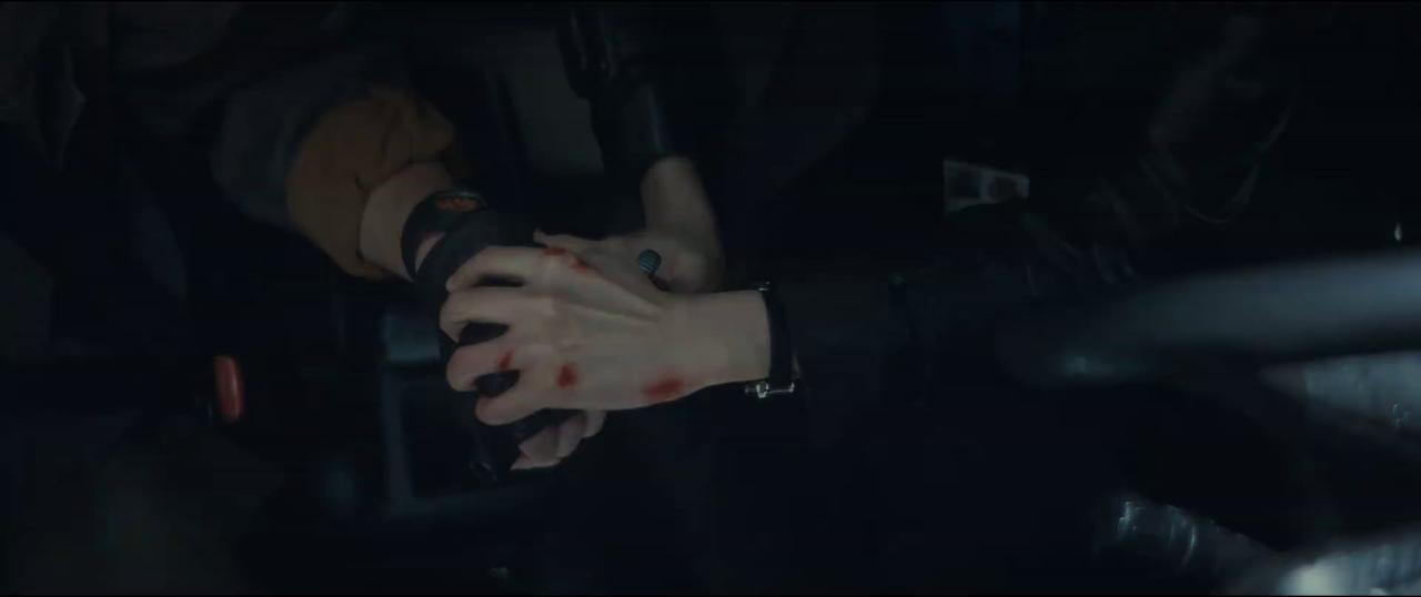 [匿杀][WEB-MKV/0.76GB][国语配音/中文字幕][1080P][HDR版本][流媒体]