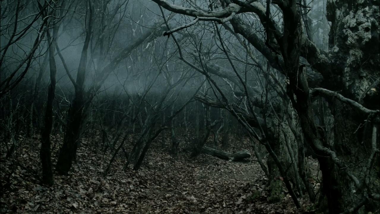 [断头谷][BD-MKV/6.40GB][国语音轨/中英字幕][1080P][HDR版本][H265编码][蓝光压制]