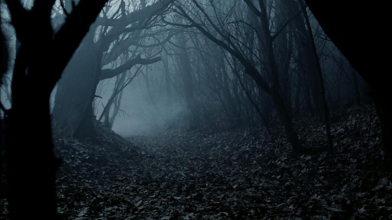 [断头谷][BD-MKV/6.40GB][国语音轨/中英字幕][1080P][HDR版本][H265编码][蓝光压制]