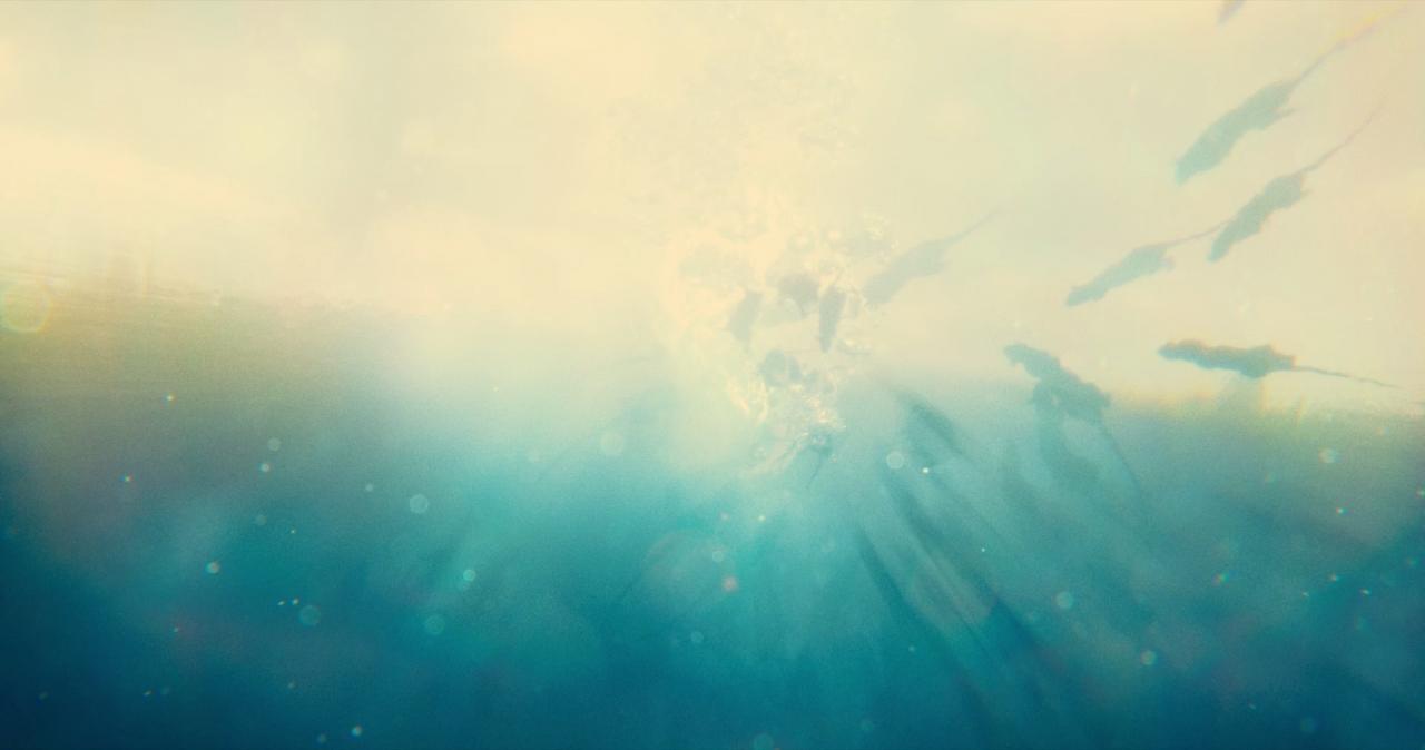 [X特遣队：全员集结][BD-MKV/9.88GB][中英字幕][1080P][HDR版本][H265编码][蓝光压制]