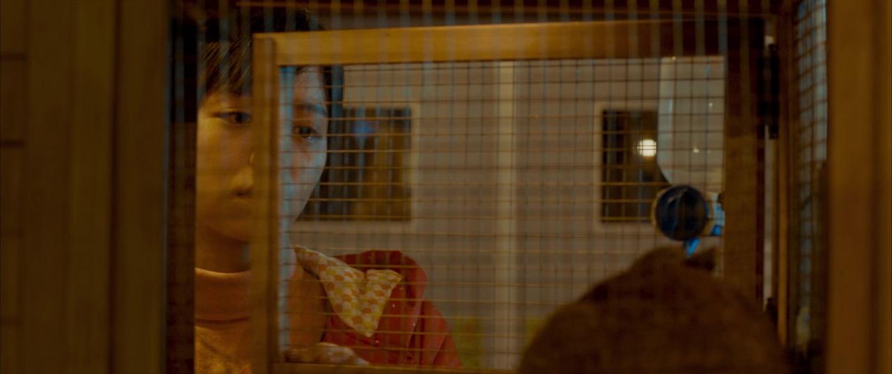 [我的青春都是你][BD-MKV/3.27GB][国语音轨/简繁英字幕][1080P][HDR版本][H265编码][蓝光压制]