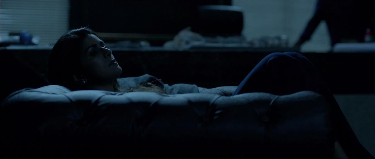 [空中撤离][BD-MKV/4.44GB][中英字幕][1080P][HDR版本][H265编码][蓝光压制]