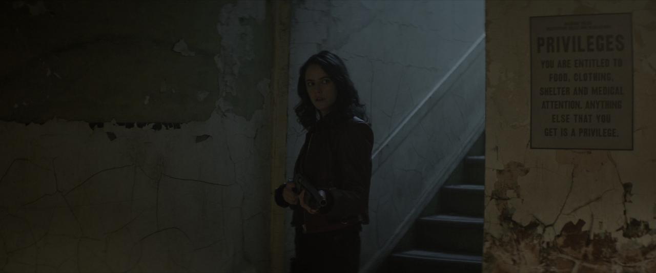 [新生化危机][BD-MKV/20.12GB][简英双语特效字幕][4K-2160P][HDR+杜比视界双版本][H265编码][蓝光压制]