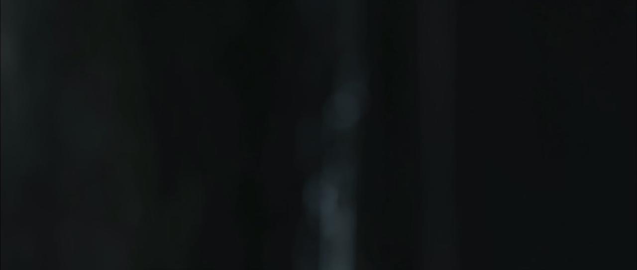 [李小龙我的兄弟][BD-MKV/4.59GB][国粤多音轨/简繁英字幕][1080P][HDR版本][H265编码][蓝光压制]