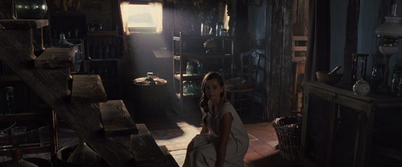 [战马][BD-MKV/6.78GB][国英多音轨/中英字幕][1080P][HDR版本][H265编码][蓝光压制]