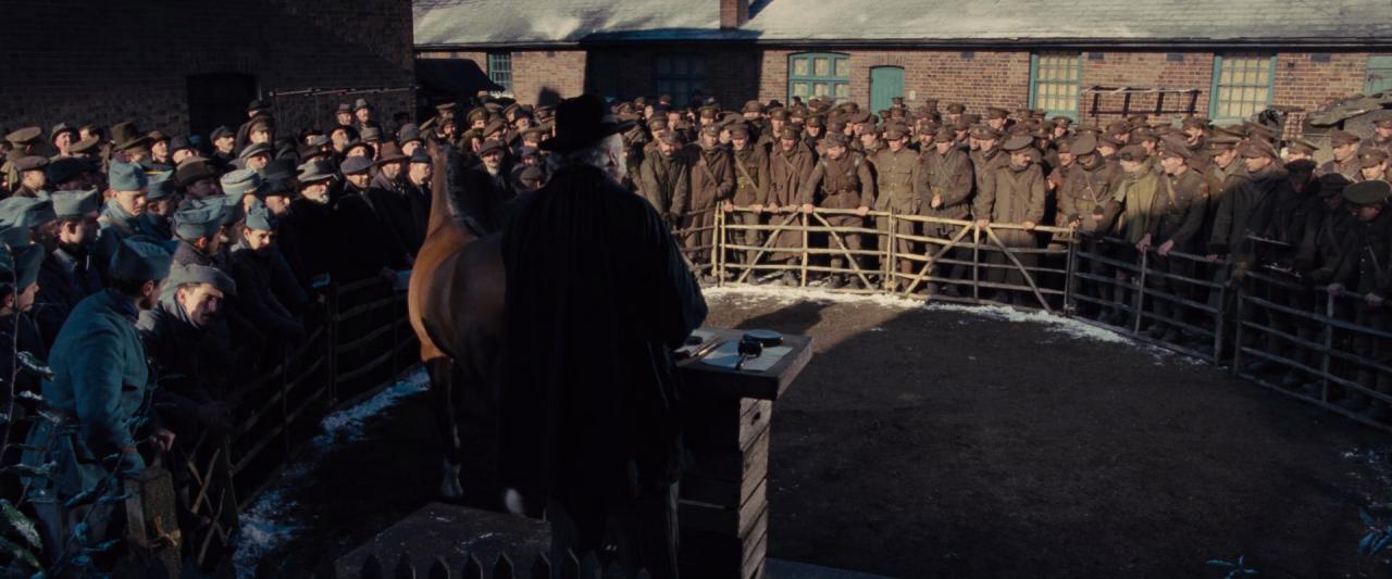 [战马][BD-MKV/6.78GB][国英多音轨/中英字幕][1080P][HDR版本][H265编码][蓝光压制]