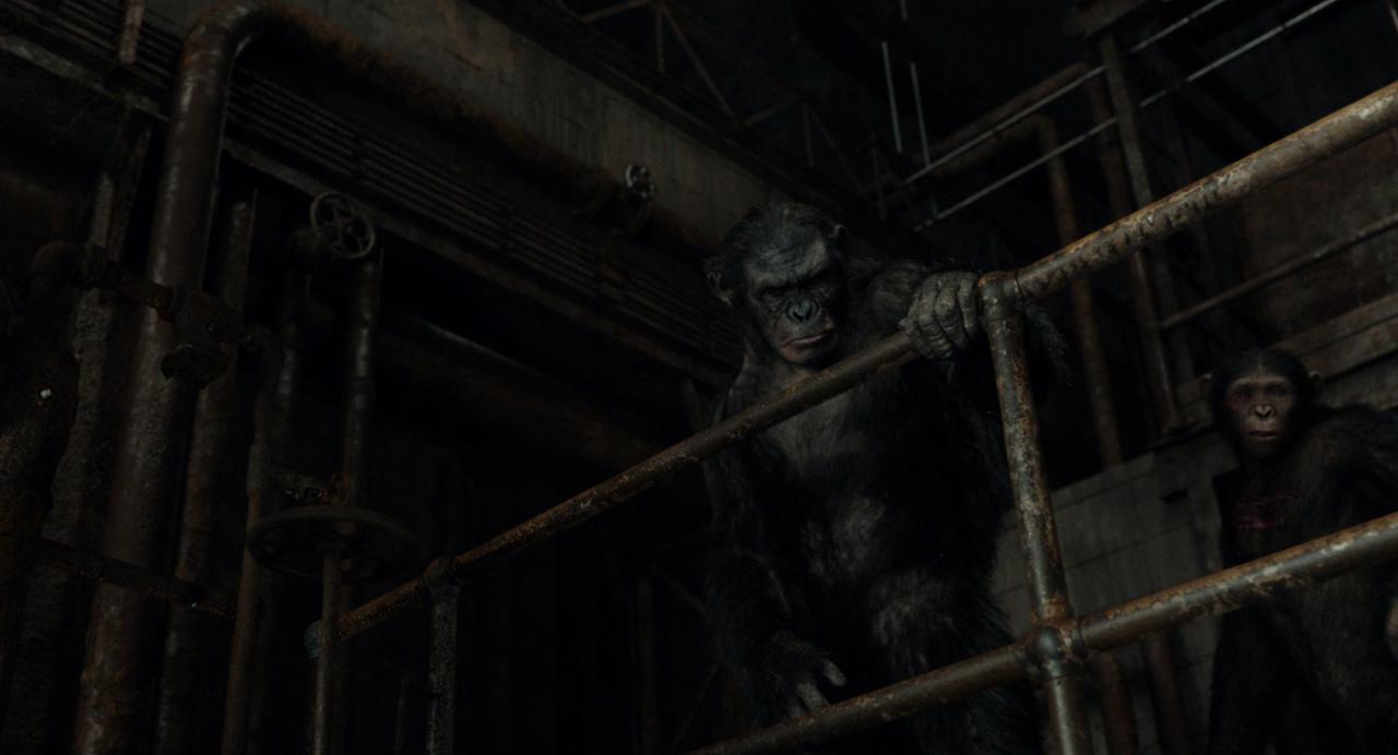 [猩球崛起2：黎明之战][BD-MKV/6.17GB][国英多音轨/中英字幕][1080P][HDR版本][H265编码][蓝光压制]