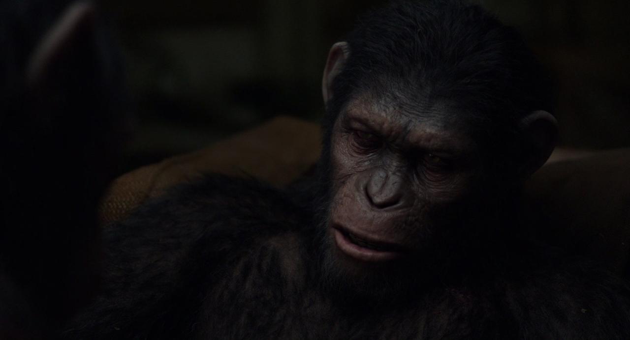 [猩球崛起2：黎明之战][BD-MKV/6.17GB][国英多音轨/中英字幕][1080P][HDR版本][H265编码][蓝光压制]