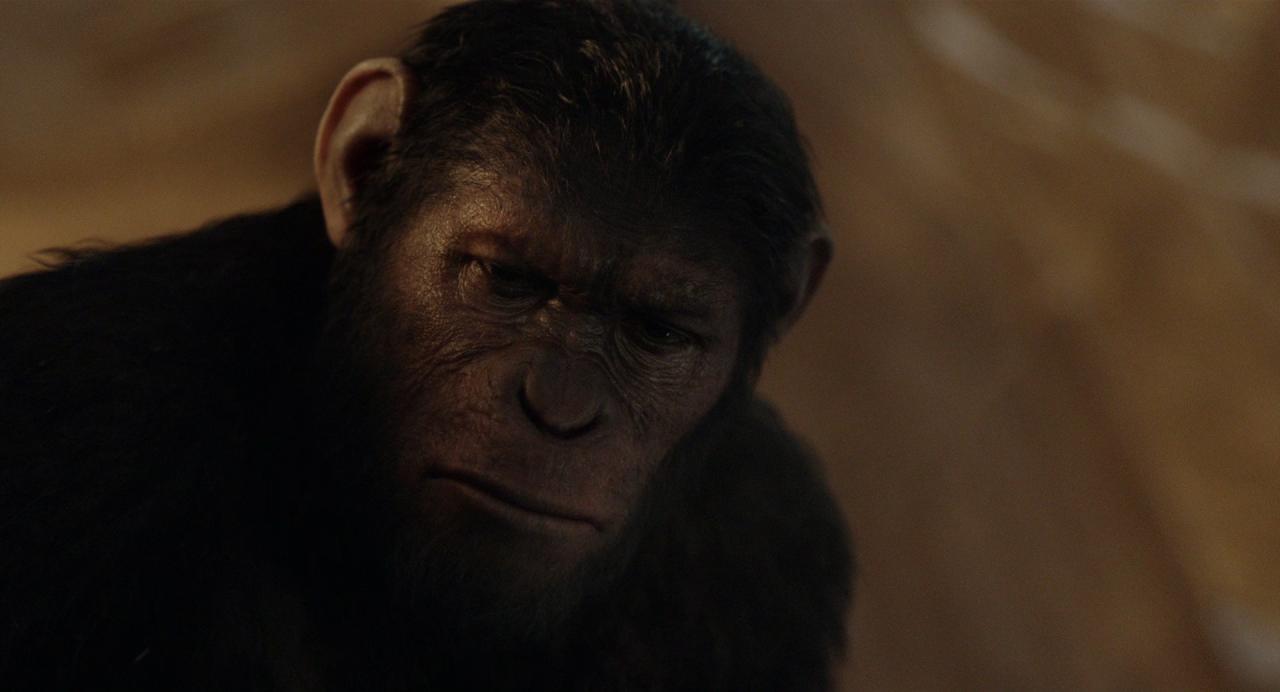 [猩球崛起2：黎明之战][BD-MKV/6.17GB][国英多音轨/中英字幕][1080P][HDR版本][H265编码][蓝光压制]