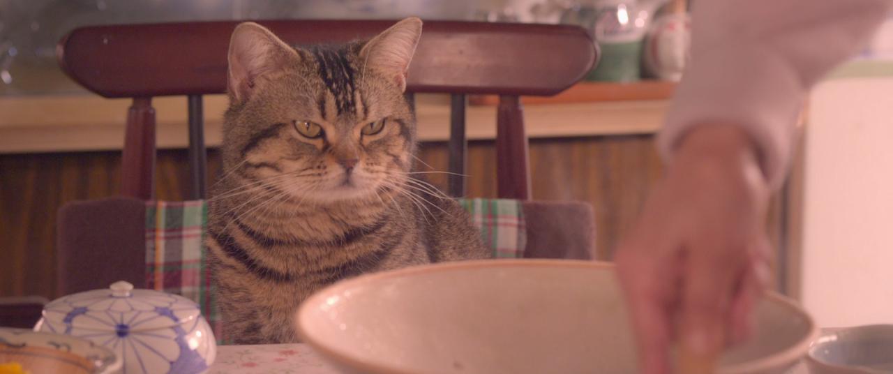 [猫与爷爷][BD-MKV/2.75GB][简繁字幕][1080P][HDR版本][H265编码][蓝光压制]